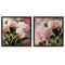 Stupell Industries Soft Pink Peony Arrangement 2 pc Framed Floater Canvas Wall Art Set Design by Dan Meneely
